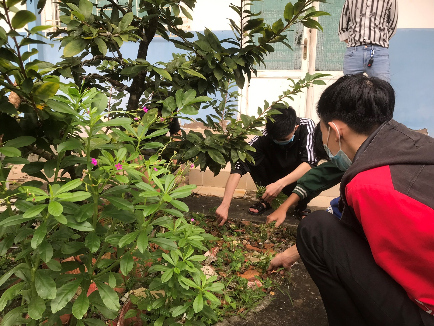 Đoàn viên, sinh viên DLA tham gia “Ngày Chủ nhật xanh lần thứ 4 năm 2023”