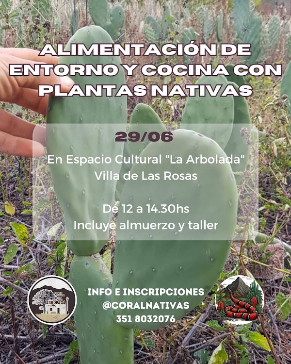Alimentación de entorno y cocina con plantas nativas natu