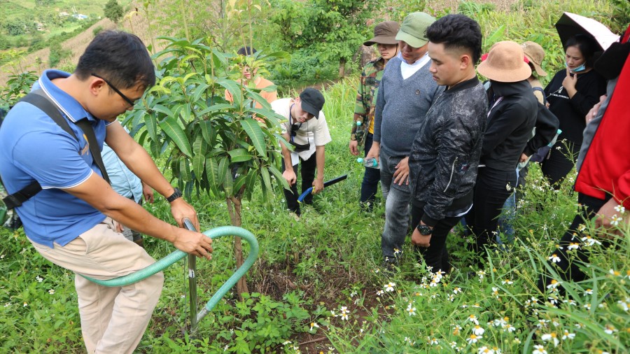 Sinh viên Khoa Nông Lâm tham gia Dự án hợp tác với Chính phủ Úc