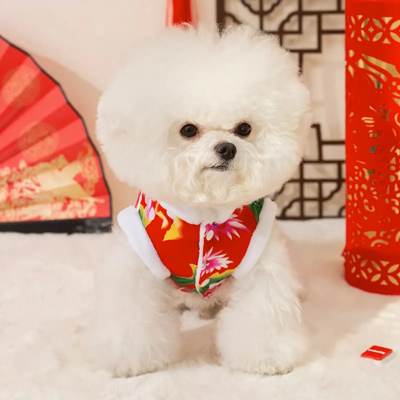 Padded dog coat with Chinese floral pattern
