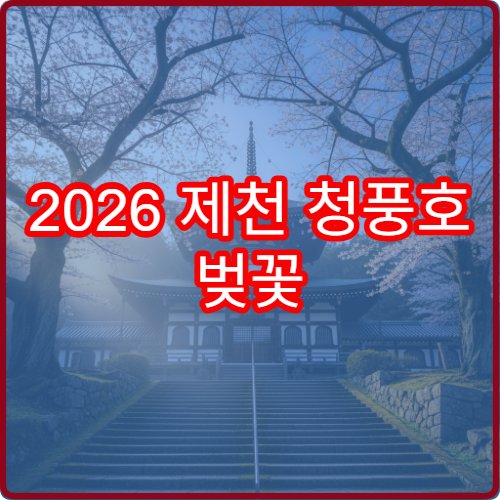 2026 제천 청풍호 벚꽃 주말 인파 앱 실시간 확인하고 방문