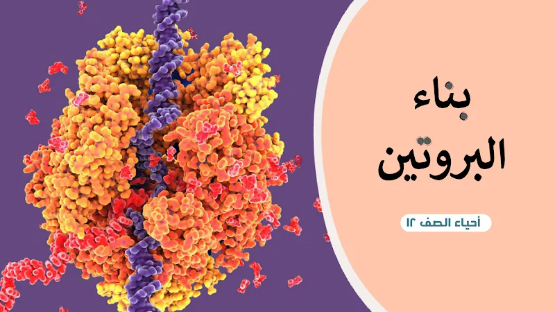 صورة الغلاف