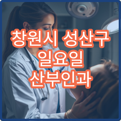 창원시 성산구 일요일 산부인과 진료 병원 여성검진 상담