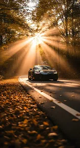Exotic Sports Car Driving on Road in Autumn Forest Sun