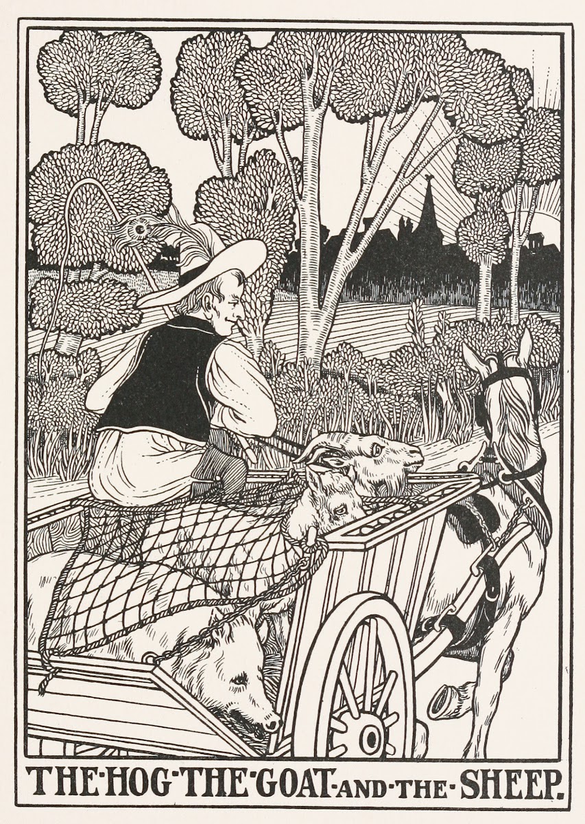 The Hog the Goat and the Sheep 1900