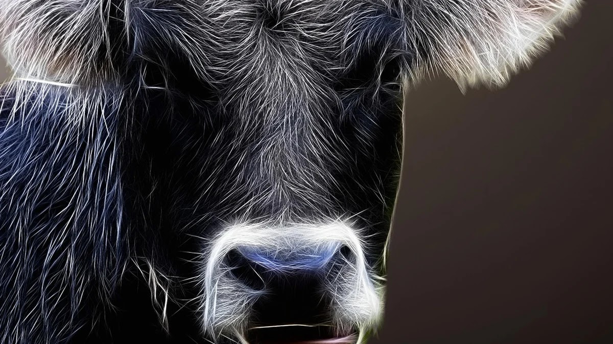 챗GPT 플러그인 설치와 활용법 단계별 가이드