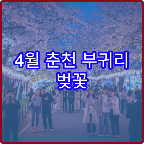 4월 춘천 부귀리 벚꽃 자전거 대여 소양강 라이딩 코스