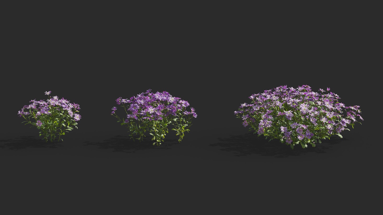 Maxtree - Plant Models Vol.64