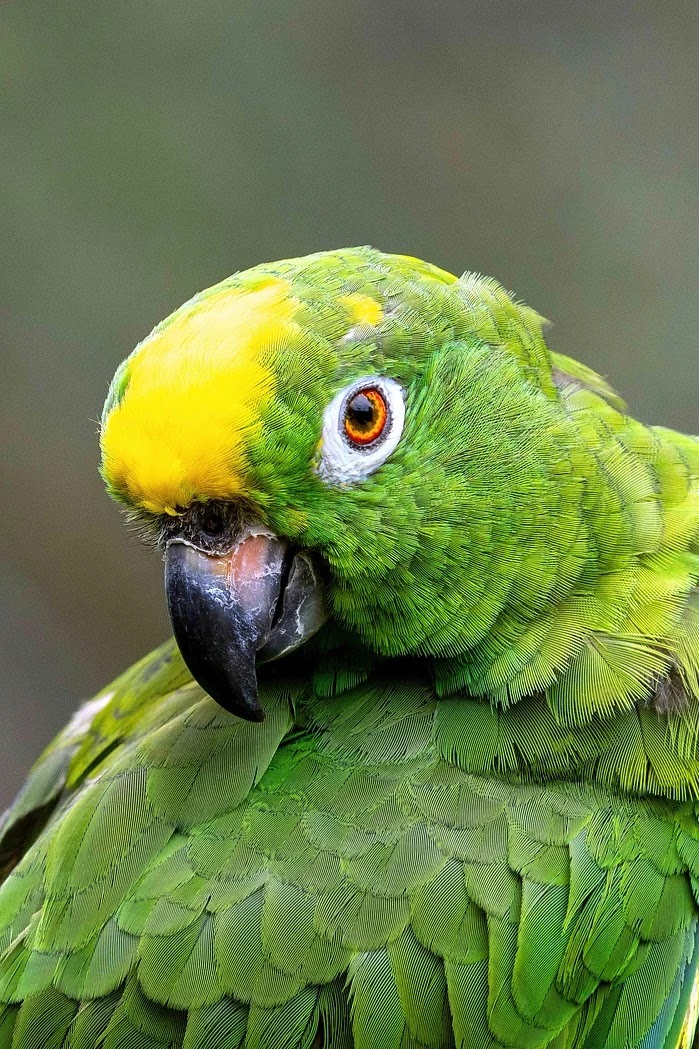 아마존·알리익스프레스·이베이 직구별 관세 부과 기준과 차이점