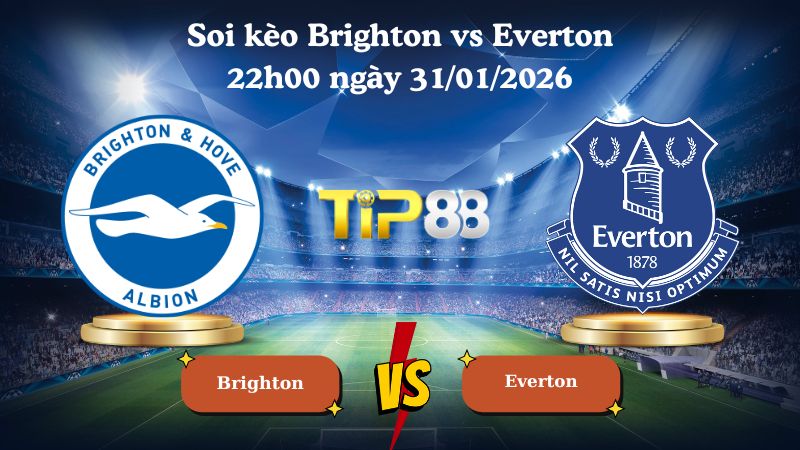 soi kèo Brighton vs Everton 22h00 ngày 31/01/2026