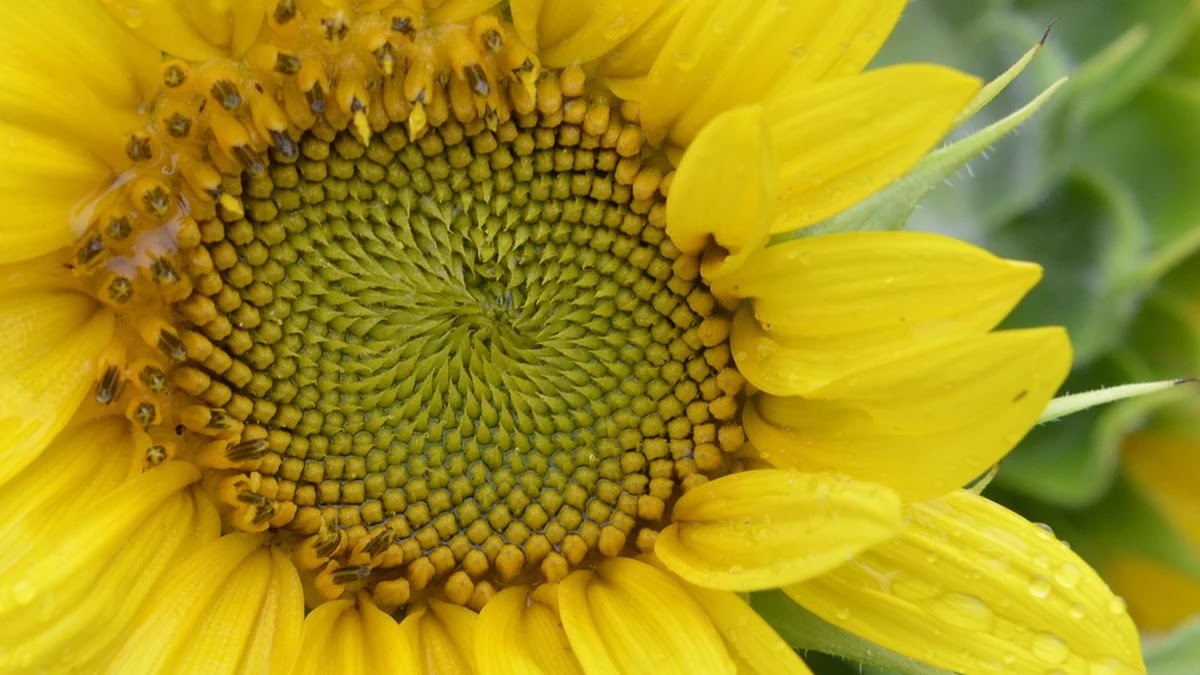 DSR과 DTI의 차이와 대출 한도 산정 구조 이해하기