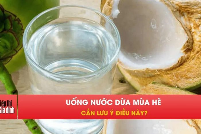 Nước Dừa: 'Bạn hay thù' khi uống quá nhiều trong mùa nóng - Tiếp thị &amp; Gia đình