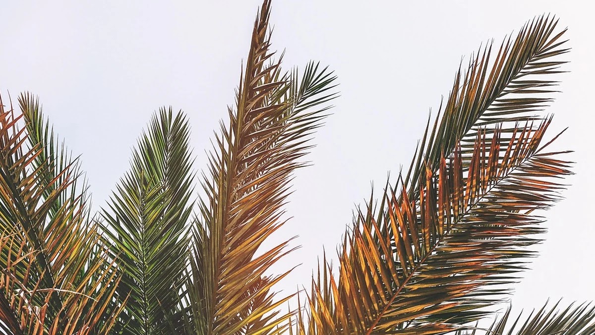 해외 인기 여행지 리조트 예약 전 체크리스트와 할인 받는 방법