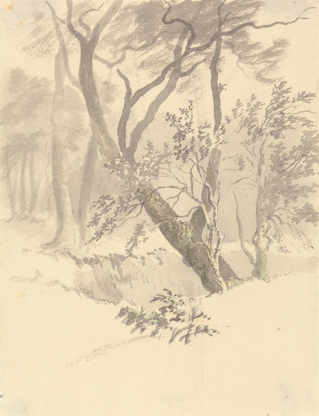 The Wood