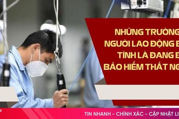 [Motion graphics] Những trường hợp người lao động được tính là đang đóng bảo hiểm thất nghiệp - Báo Hà Tĩnh