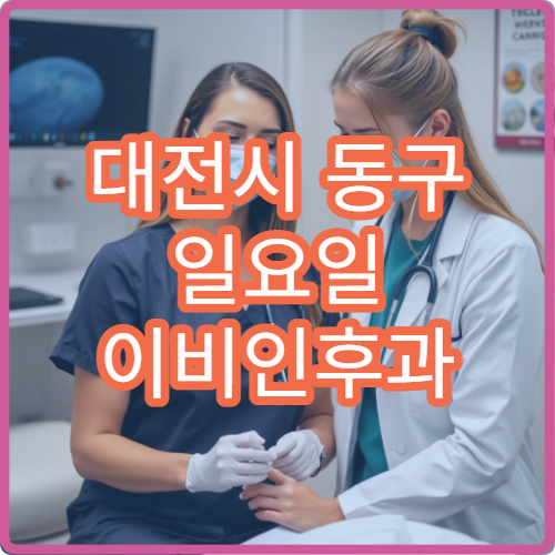 대전시 동구 일요일 이비인후과 진료 병원 코막힘 인후통 진료