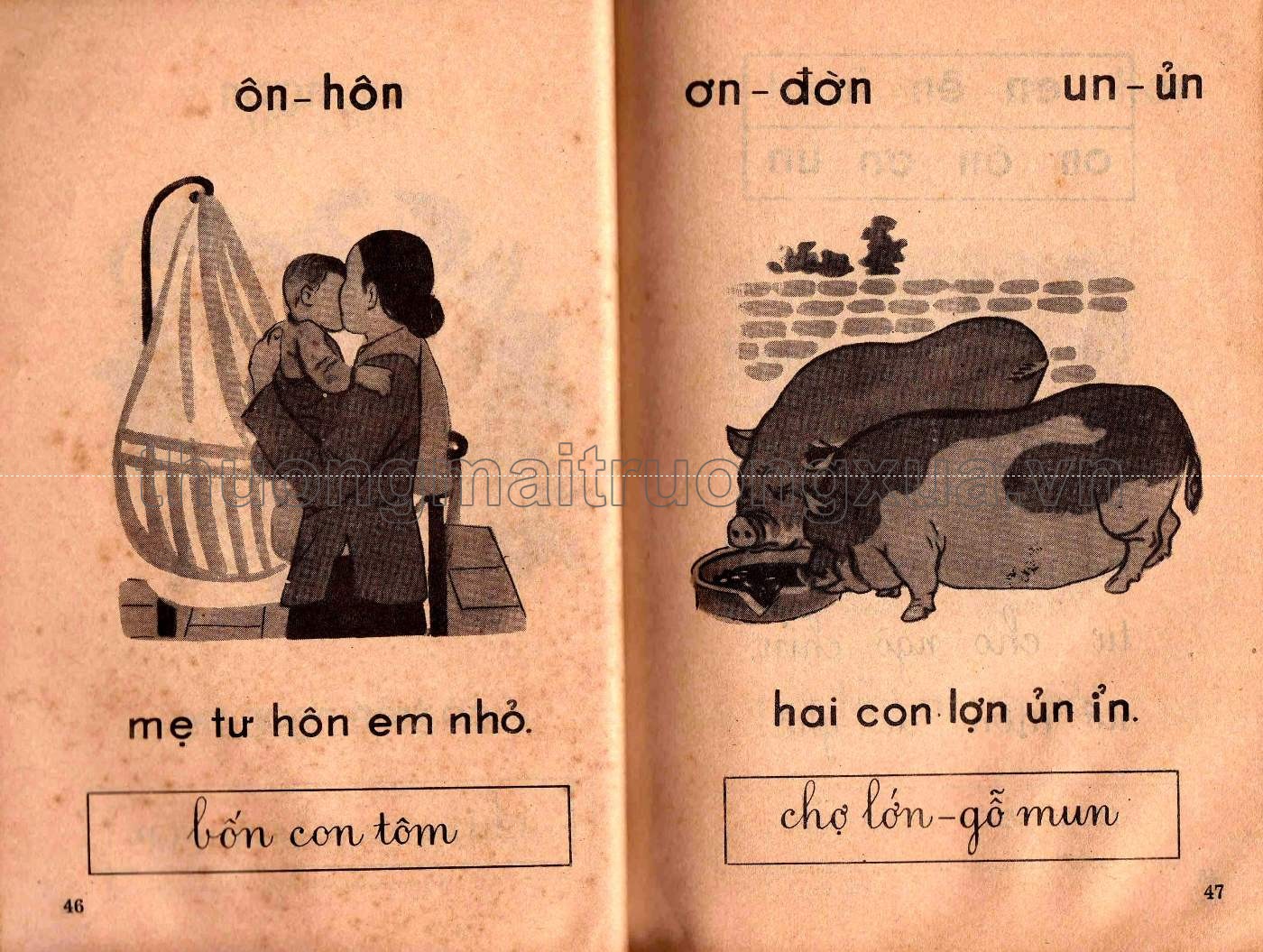 Học vần  - Trang 24