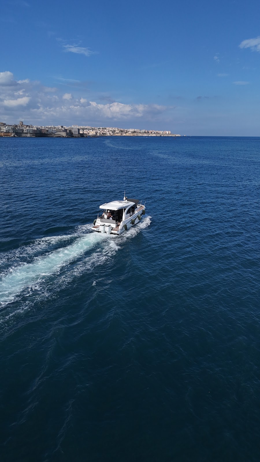 Vega Charter 17
