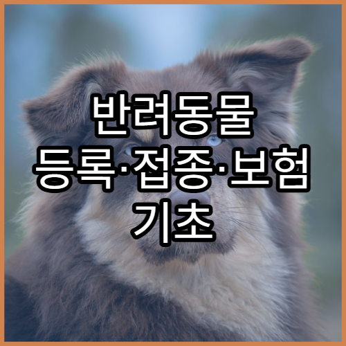 반려동물 등록·접종·보험 기초 안내 가이드