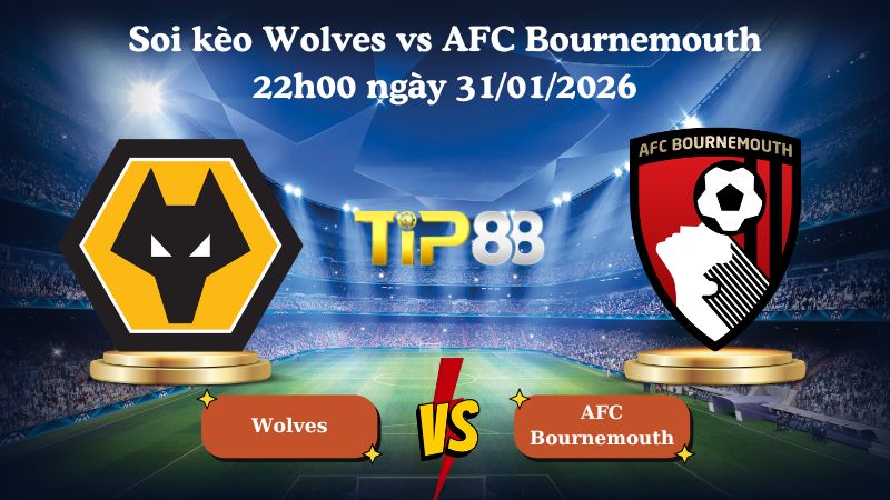 soi kèo Wolves vs AFC Bournemouth 22h00 ngày 31/01/2026