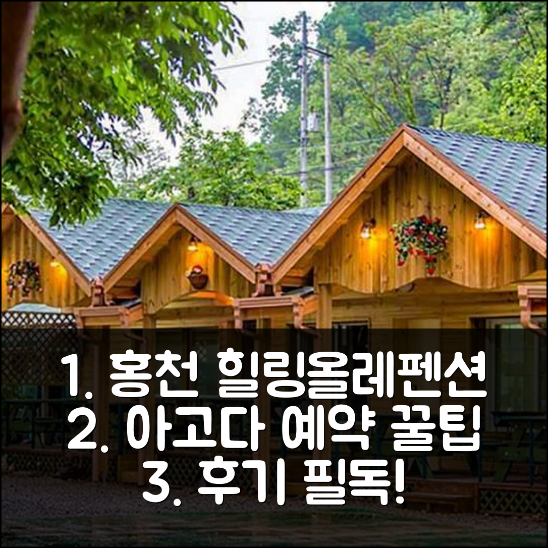 홍천 힐링올레펜션 홍천 숙소 예약 후기 꿀팁 - 아고다 호텔 추천