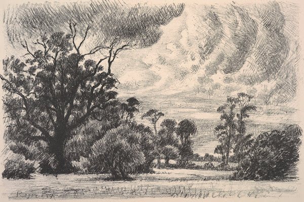 Landscape with trees
