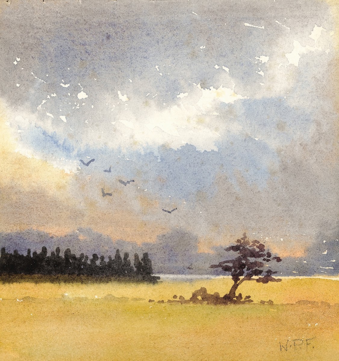Landscape