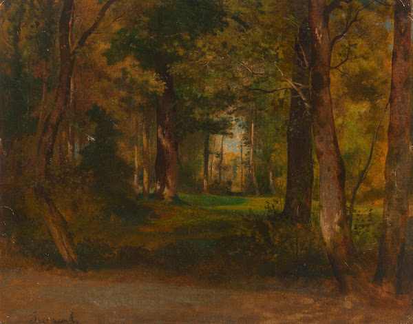 Forest