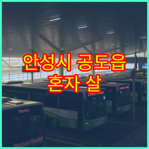 안성시 공도읍 혼자 살 때 생활비·월세 총정리