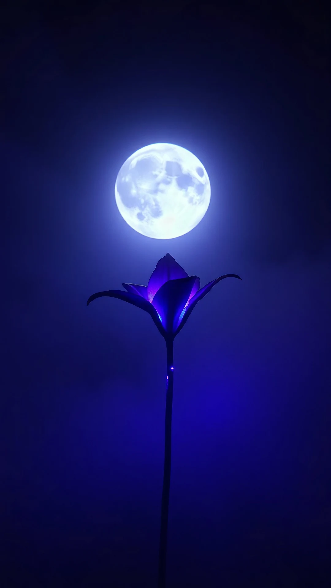 Glowing Purple Flower Under Full Moon - Free 4K mobile Wallpaper