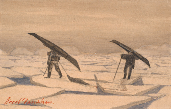 Sælfangst 1950  1999