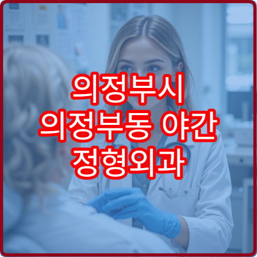 의정부시 의정부동 야간 정형외과 허리 무릎 통증 진료 가능한 곳