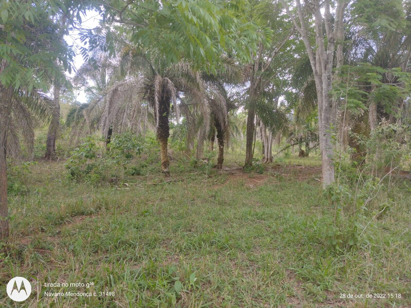 Fazenda em Caldas Novas - GO 4