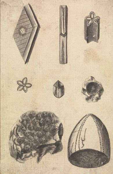 Crystals and Fossils ca 1760