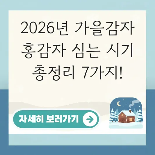 가을감자 홍감자 심는 시기