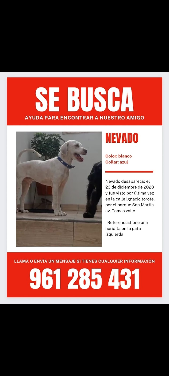 NEVADO