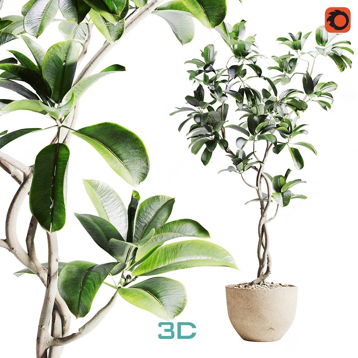 978.Sell Album Indoor Plant PRO Vol 01