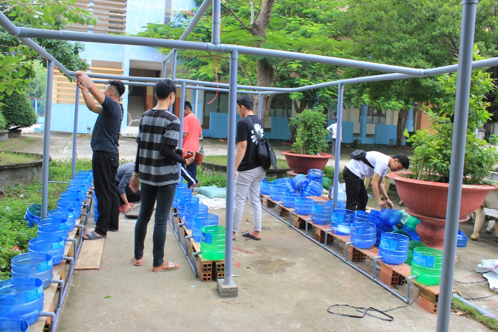 Nhóm nghiên cứu tiến hành căng dây làm khung đỡ cho cây trồng