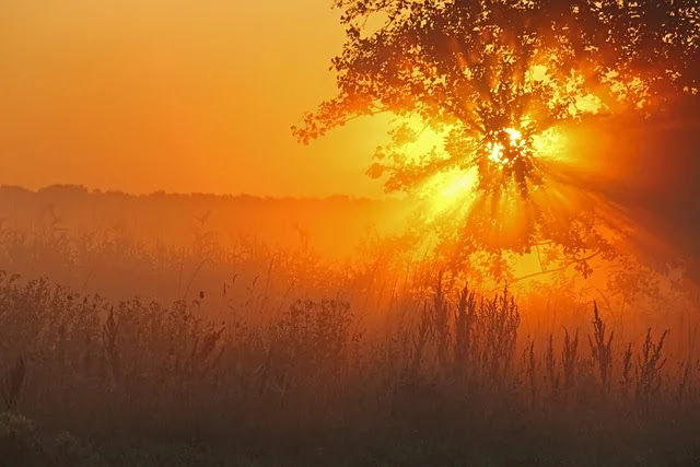도심 속 미세먼지, 일상에서 줄이는 작은 실천