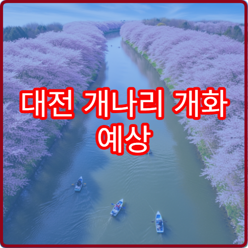 대전 개나리 개화 예상 개나리 절정 시기