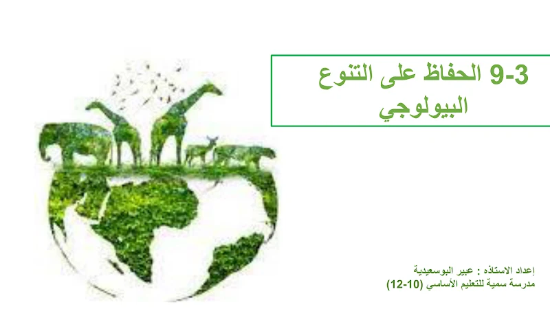 صورة الغلاف