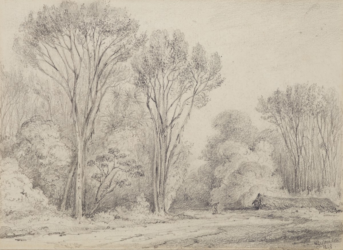 Manuka Grove on Taines Section Upper Hutt 1848