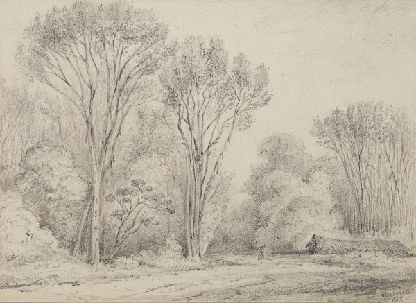 Manuka Grove on Taines Section Upper Hutt 1848