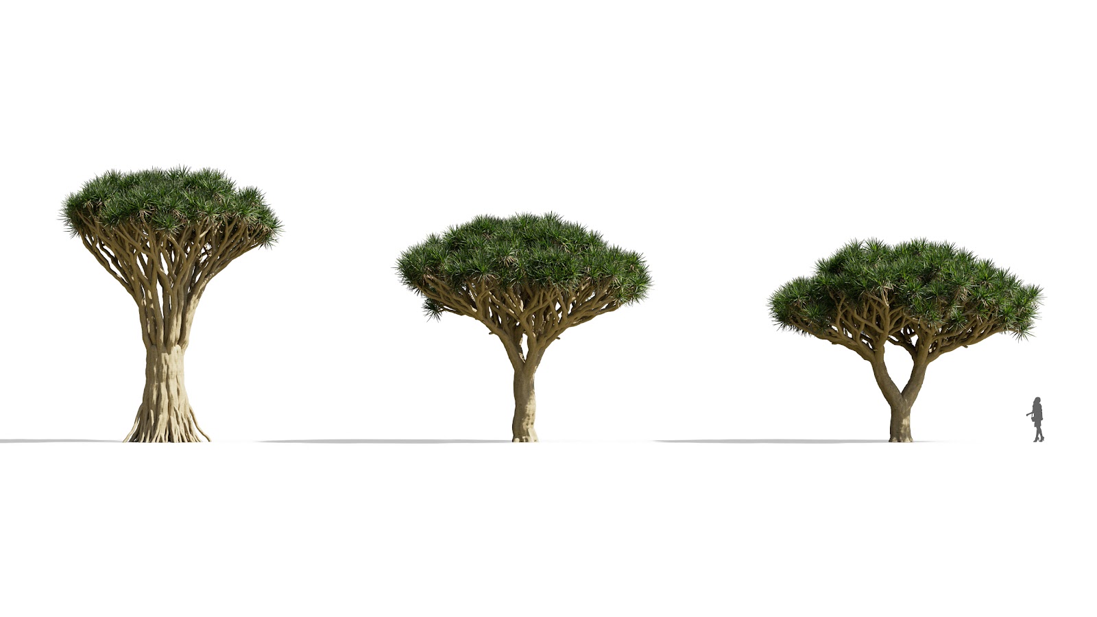 Maxtree - Plant Models Vol.73