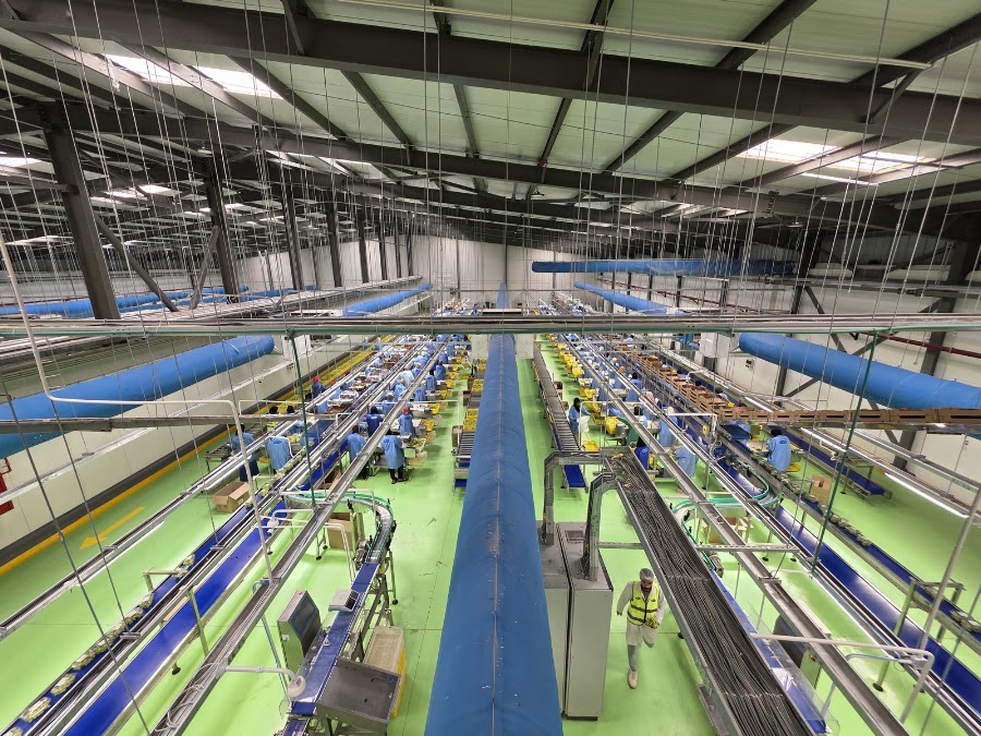 SANAM Engineering Industries — food processing and material handling project 20