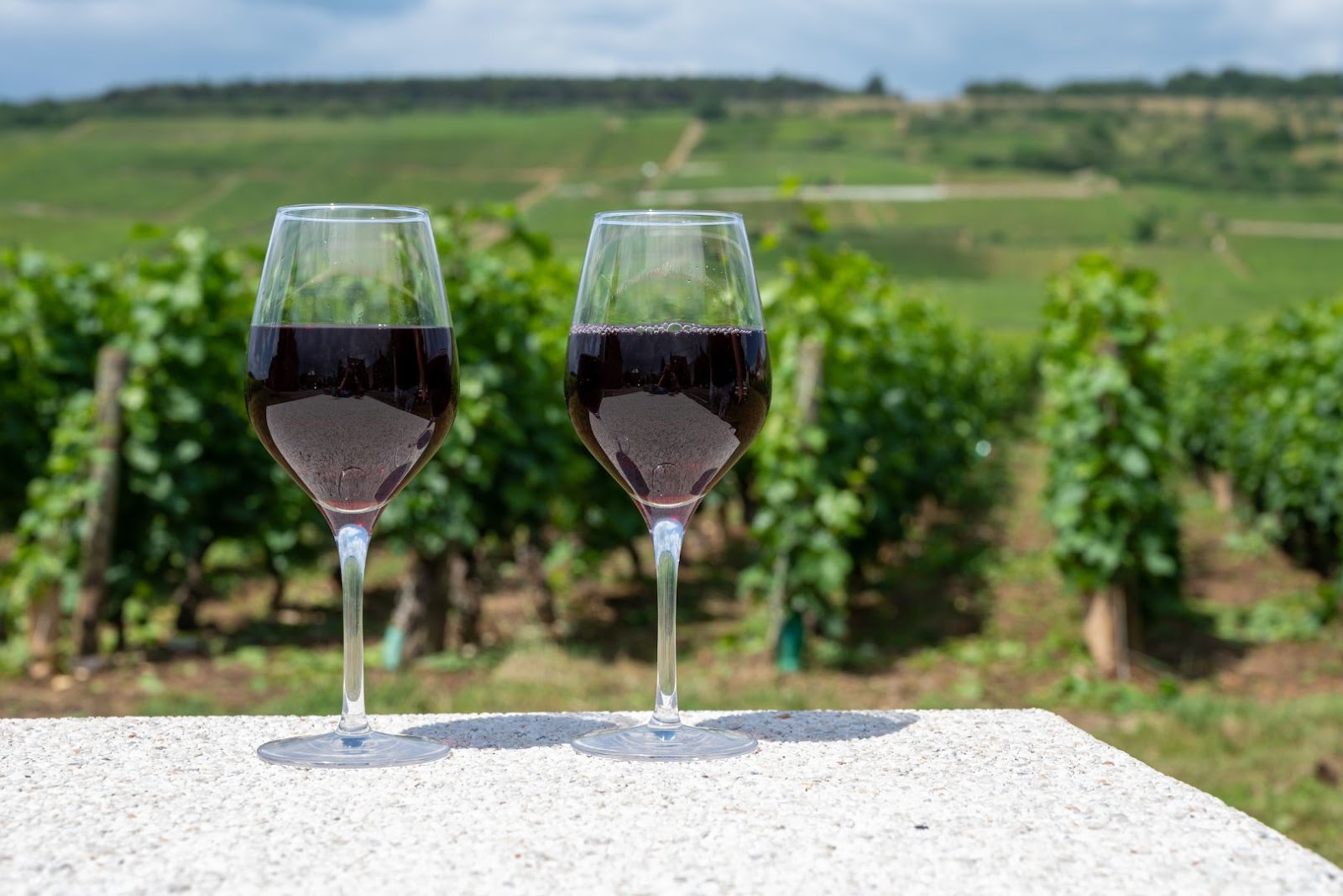 France Burgundy Wines
