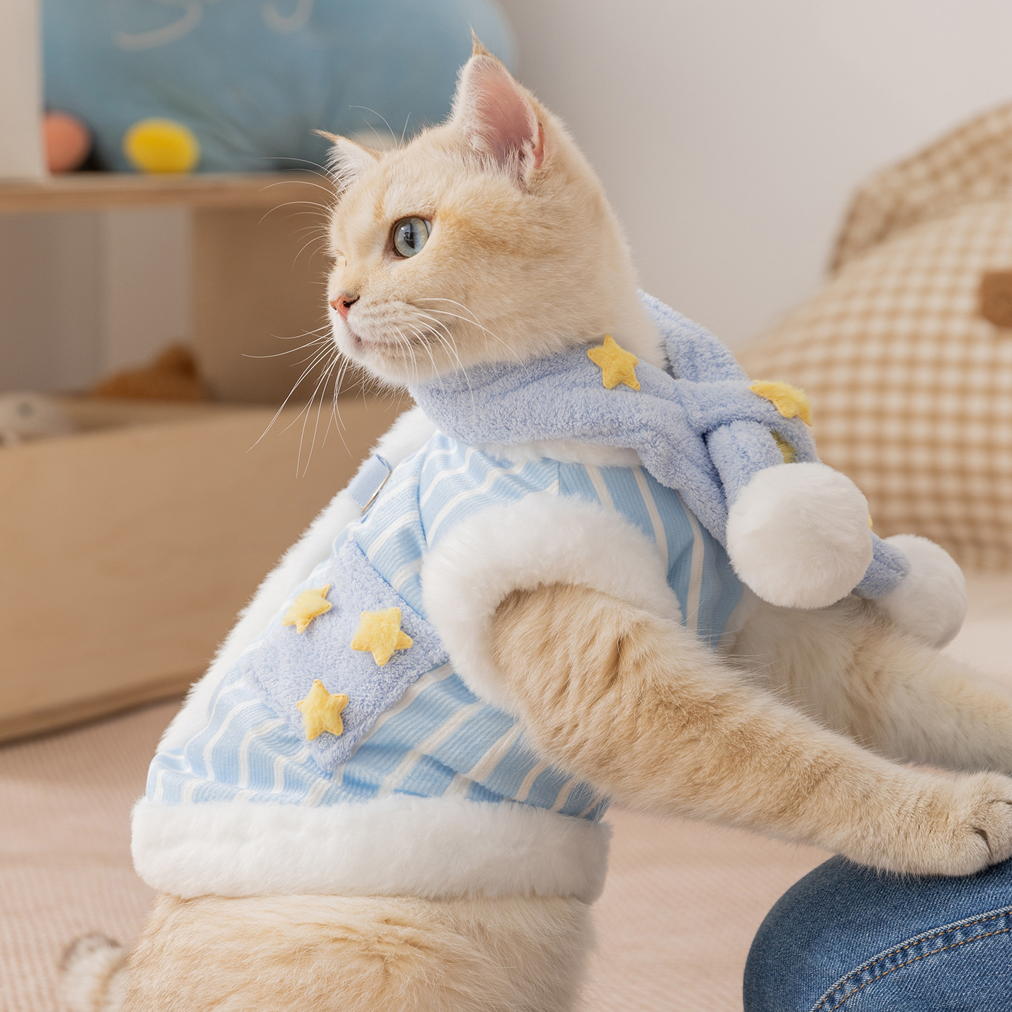 Pet warm set with scarf and vest