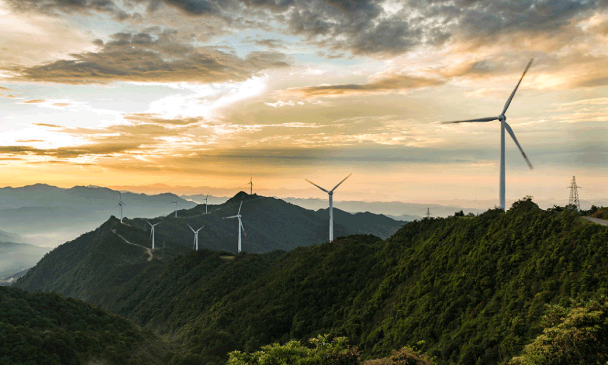 Gestión ambiental corporativa: Cómo formar líderes estratégicos para la sostenibilidad