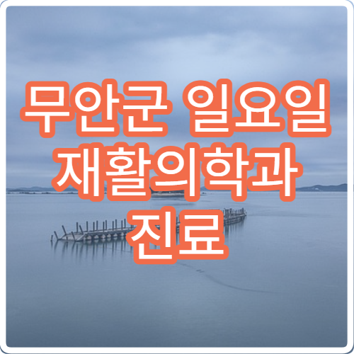 무안군 일요일 재활의학과 진료 병원 – 교통사고 후 재활, 물리치료 주말 진료 병원