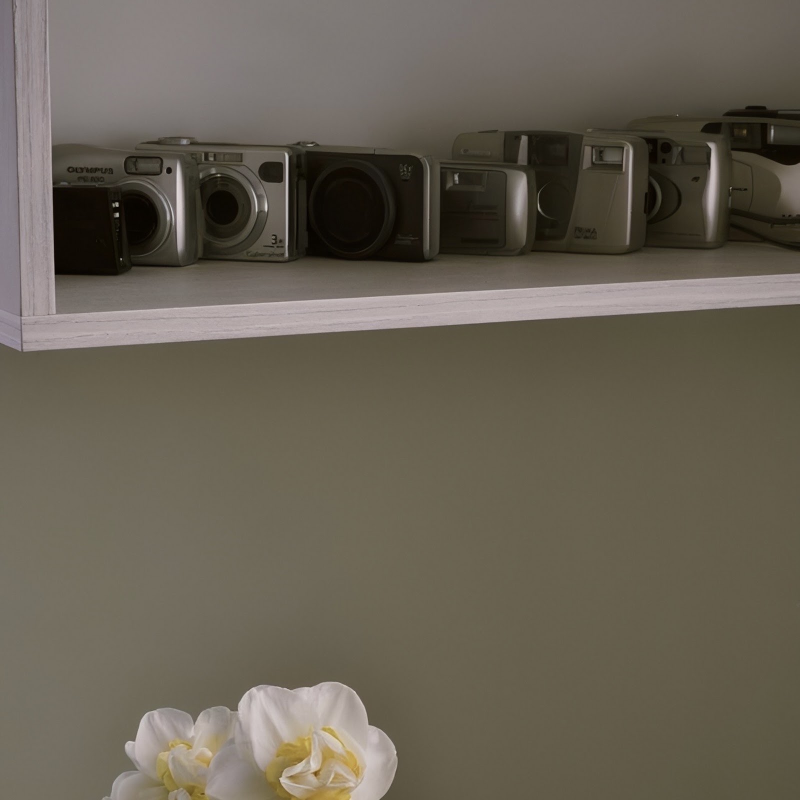 Download Daffodils Under Vintage Camera Shelf Full HD iPhone